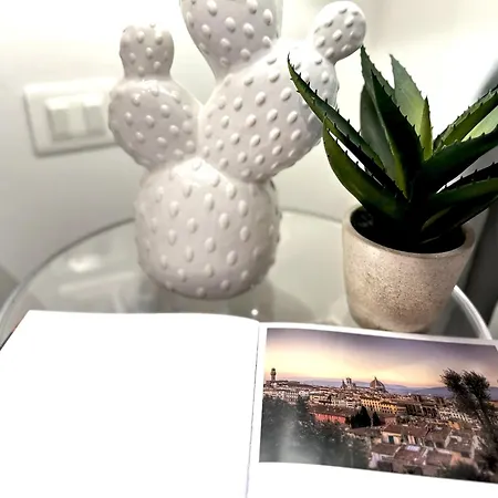 Apartment Mf Design