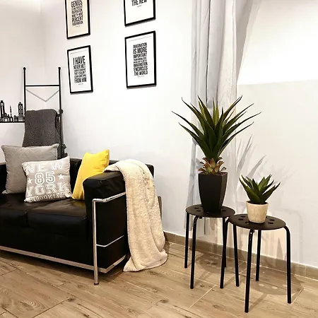 Apartment Mf Design